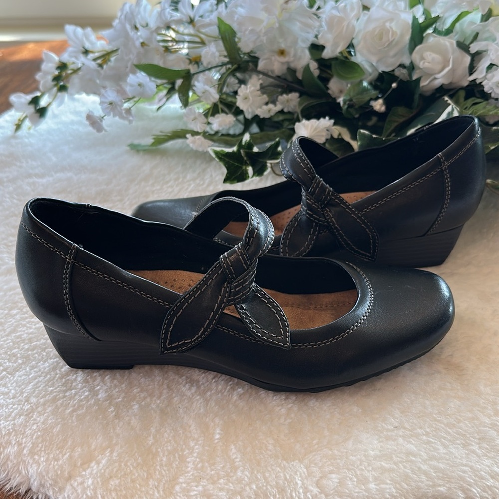 Earth dress shoes
